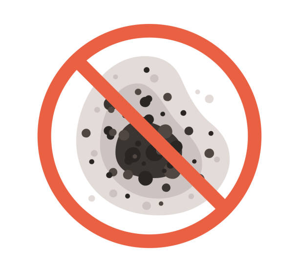 Professional Mold Removal in Guthrie Center, IA