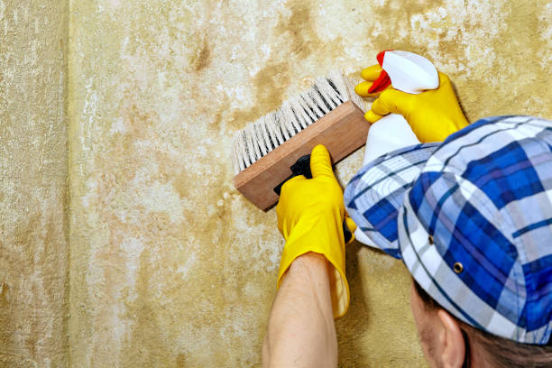 Best Asbestos and Lead Testing During Mold Inspection  in Guthrie Center, IA