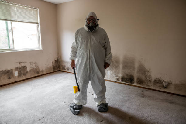 Best Mold Removal for HVAC Installations  in Guthrie Center, IA